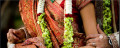 Marriage Registrar -Real Matrimony (Pvt) Ltd