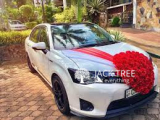 Prius wedding car for rent