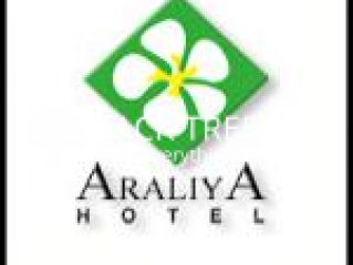 Honeymoon Destinations - Sunset Araliya Hotel