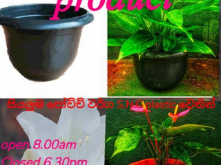 S N C plastic flower pot Panagoda - Embulagama Rd srilanka