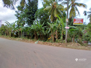 Land for sale in Ganemulla face to road 