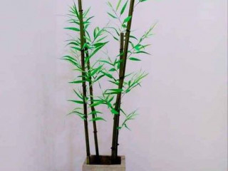 Bamboo Tree (Handmade Artificial Tree ) 