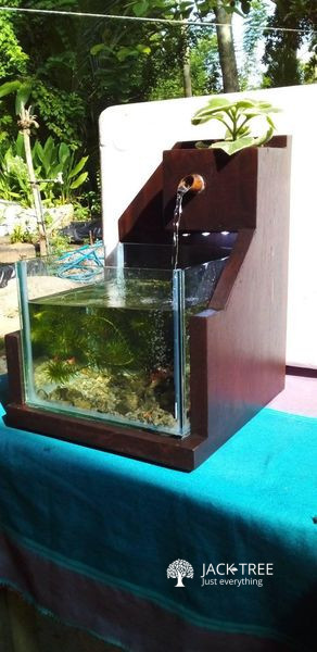 Gardening Fish Tank (Made in Sri Lanka)