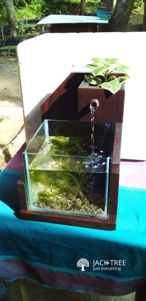 Gardening Fish Tank (Made in Sri Lanka)