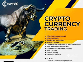 Crypto Currency & Dropshipping Online Courses