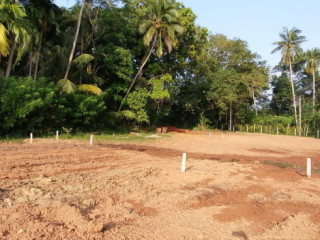 Valuable land for immediate sale in Balapitiya.