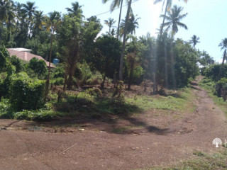 Land For Sale In Matale Palapathwala A9 Road