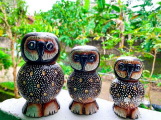 OWL SET  Made in  Best quality
