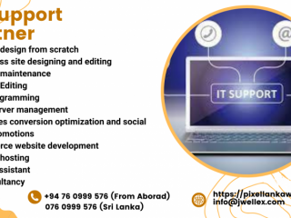 I am offering professional  IT support to Sri Lanka & Global