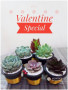 6 Natural succulent plants as a package.
