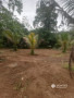Valuable land for sale in kaluthara horana uduwa