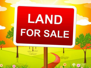 Land for sale in Negombo in front of Sussex college 25 perches