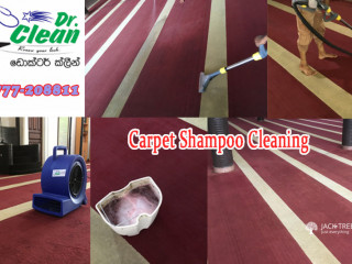 Carpet cleaning   washing onsite service