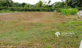 Land for sale in Pannipitiya surrounded by a wall.