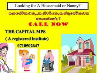 Do you need a Talented Housemaid / Nanny ?