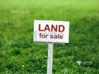 Valuable Land For Sale in Biyagama ,Malwana