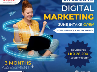 Professional Diploma in Digital Marketing Progaramme