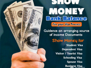 Bank Balance Show Money Bank Statement Visa Process
