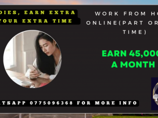Online consultant part time or full time