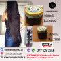 Ceylon Crush Ayurwedic Hair Oil Unisex