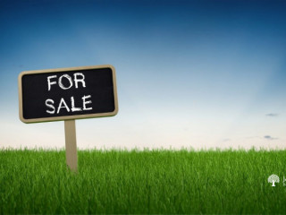 Prime Land for Sale at Nittambuwa with All Facilities