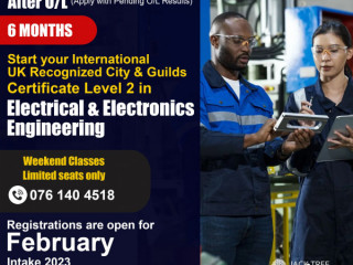 C&G UK Certificate Level in Electrical & Electronics Engineering