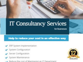 IT Consultancy Services (Software Company)