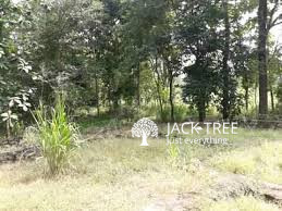 For rent a Agricultural land in Ambanpola
