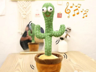 Now Available ️ Dancing Cactus ඕන අය පෝළිමේ ඉන්බොක්ස් එන්න.