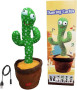 ,rechargeble dancing cactus ඕනිඅය ඉන්නවදෝ ලස්සනට සිංදු කියන