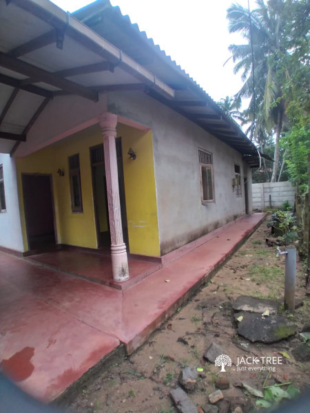 House for Sale in Wennappuwa, Dummaladeniya.