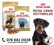 Royal Canin Dog Food Pet food 4u Battaramulla