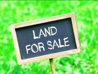 Land for Sale in Kuliyapitiya, WEralugama.