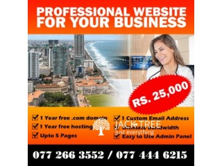 Professional Website for Your Business