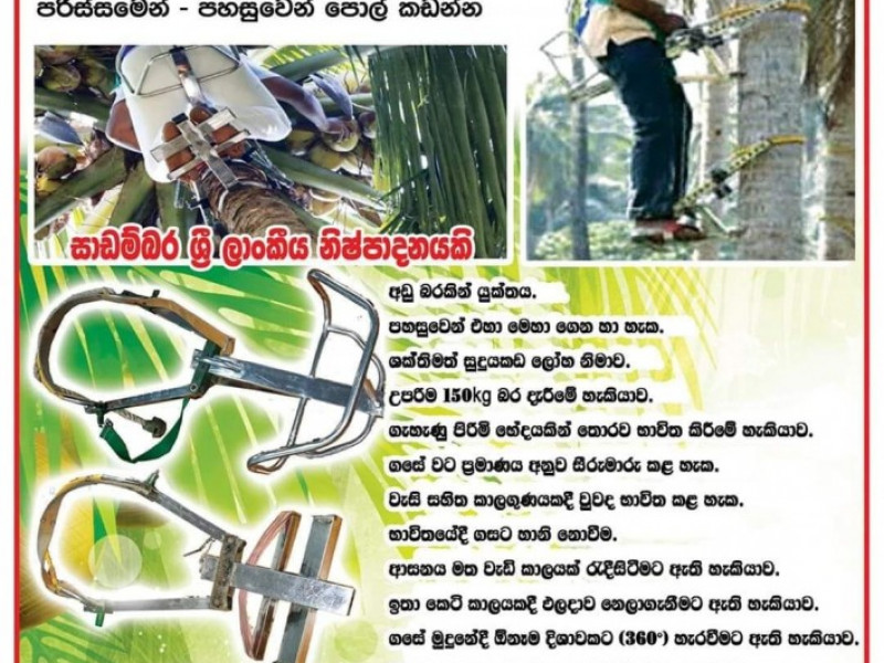 Tree Rider   Treecopter
