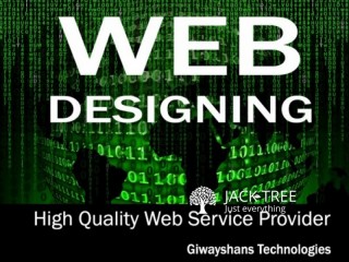 Web Design & Developments