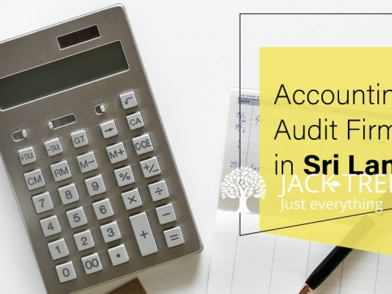 Accounting & Audit Firms In Sri Lanka