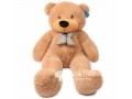 Sale for Teddy Bear Giant
