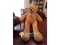 Teddy bear අඩි 5