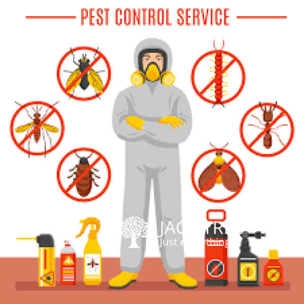 Pest Control Treatment Service