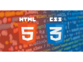 CSS HTML Developer