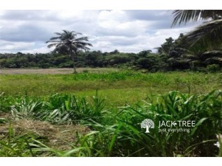 Bare Land for sale