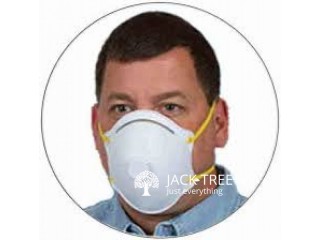 N95 Face Mask with Respirator Valve
