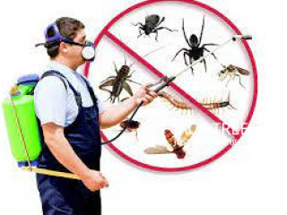 Anti Termite Control