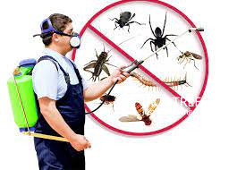 Anti Termite Control