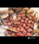 Ground peanut - Ratakaju හොඳින් වියලන ලද සම්පුර්ණ බීජ සහිත රටකජු ලබාගත හැකිය ඒ සදහා පහත සදහන් දුරකථන අංකයෙන් විමසන්න 