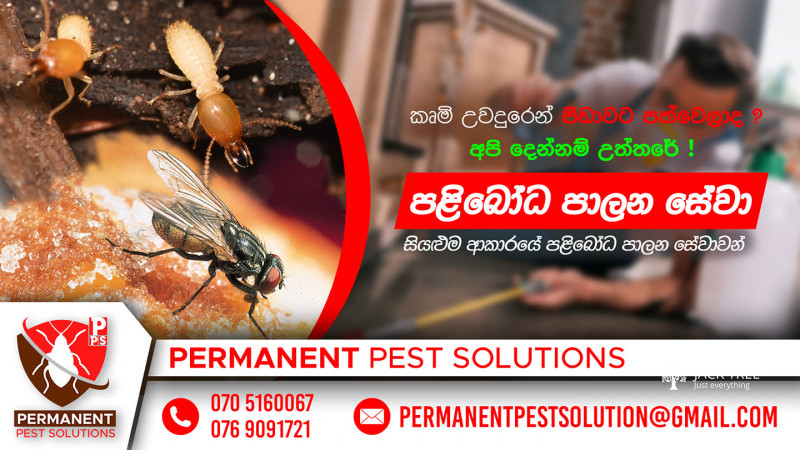 Pest Control Termite Treatment (කෘමි පාලන ප්රතිකාර)