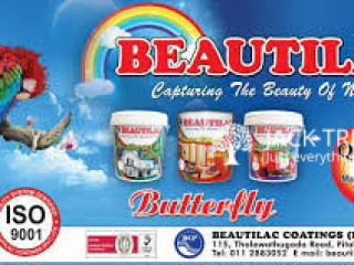 Butterfly Paint Colours