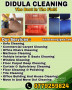 Sofa and carpet cleaning