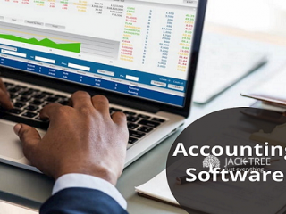 Best Accounting Software company in Colombo